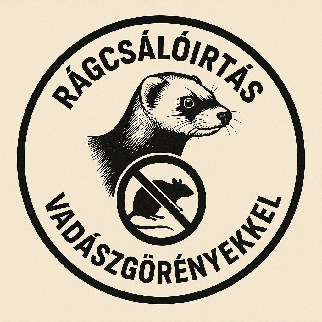 Vadászgörényes patkányirtás